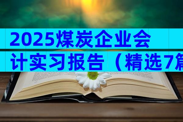 2025煤炭企业会计实习报告（精选7篇）