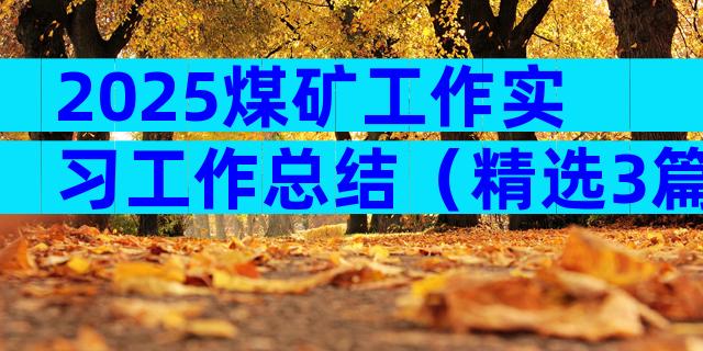 2025煤矿工作实习工作总结（精选3篇）