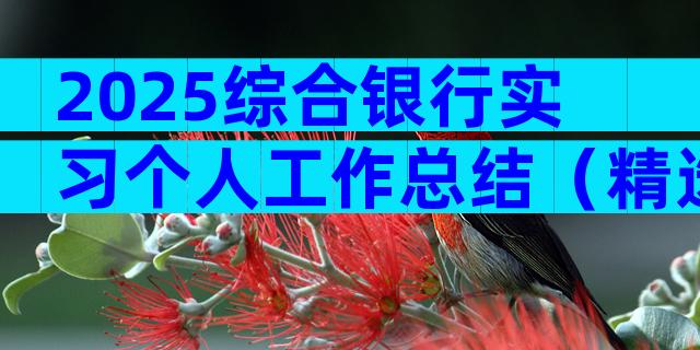 2025综合银行实习个人工作总结（精选16篇）