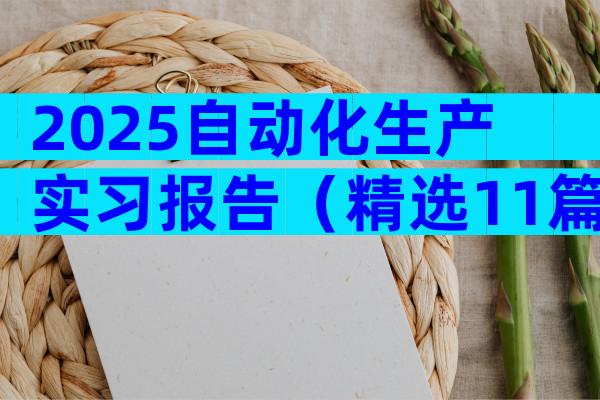 2025自动化生产实习报告（精选11篇）