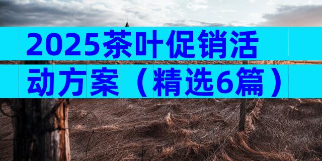 2025茶叶促销活动方案（精选6篇）