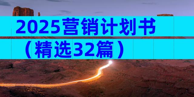 2025营销计划书（精选32篇）
