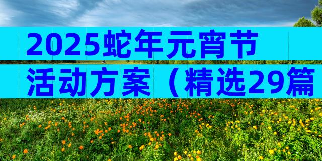 2025蛇年元宵节活动方案（精选29篇）