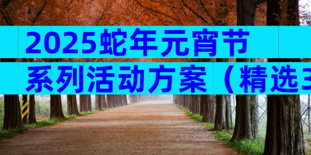 2025蛇年元宵节系列活动方案（精选3篇）