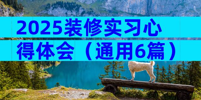 2025装修实习心得体会（通用6篇）