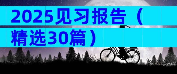 2025见习报告（精选30篇）