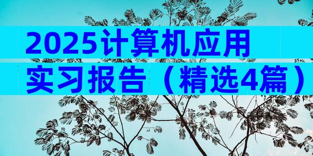 2025计算机应用实习报告（精选4篇）