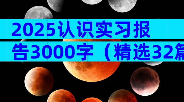 2025认识实习报告3000字（精选32篇）