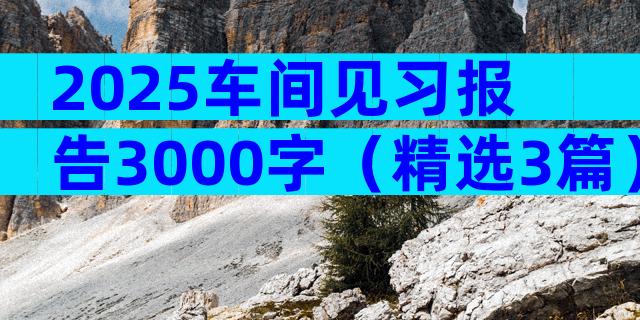 2025车间见习报告3000字（精选3篇）