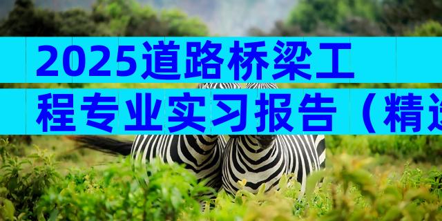 2025道路桥梁工程专业实习报告（精选5篇）