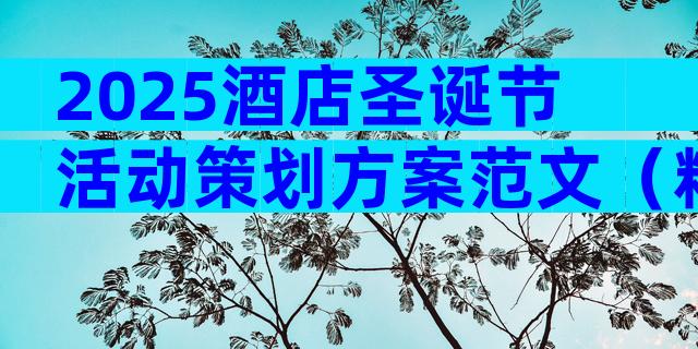 2025酒店圣诞节活动策划方案范文（精选9篇）