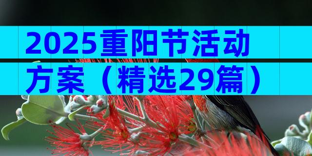 2025重阳节活动方案（精选29篇）