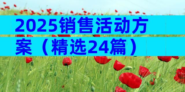 2025销售活动方案（精选24篇）