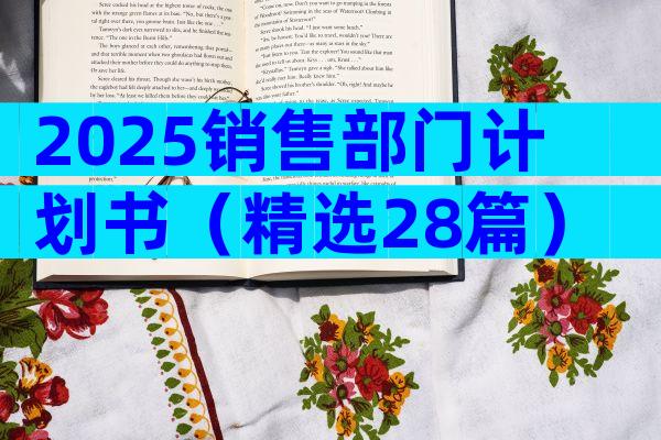 2025销售部门计划书（精选28篇）