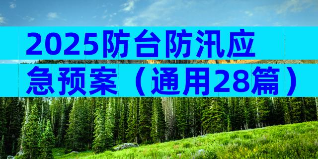 2025防台防汛应急预案（通用28篇）