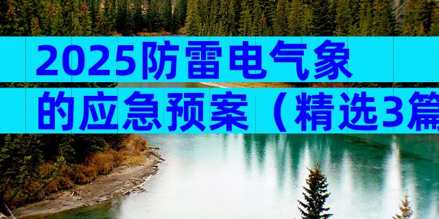2025防雷电气象的应急预案（精选3篇）