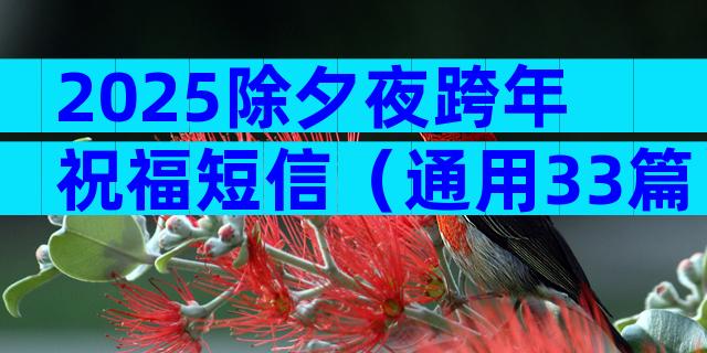 2025除夕夜跨年祝福短信（通用33篇）