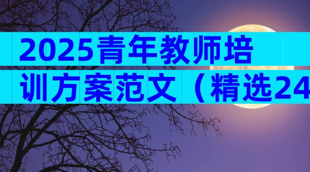 2025青年教师培训方案范文（精选24篇）