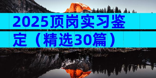 2025顶岗实习鉴定（精选30篇）