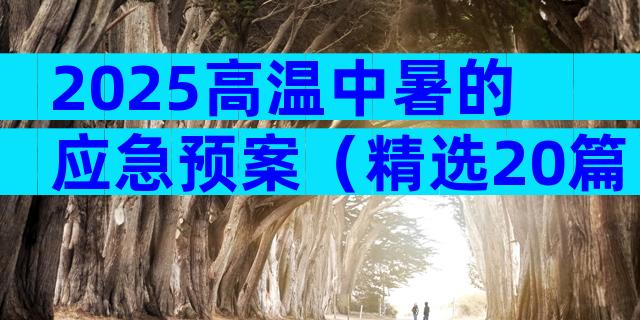2025高温中暑的应急预案（精选20篇）