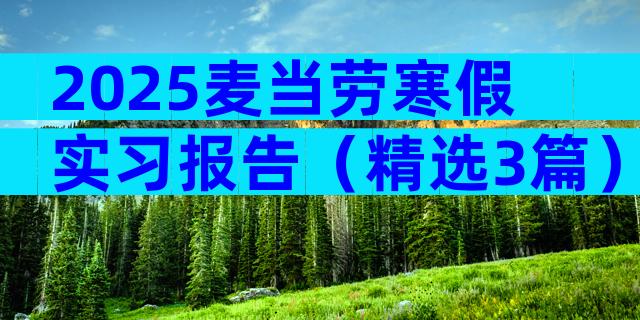 2025麦当劳寒假实习报告（精选3篇）