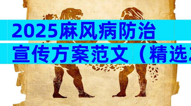 2025麻风病防治宣传方案范文（精选28篇）