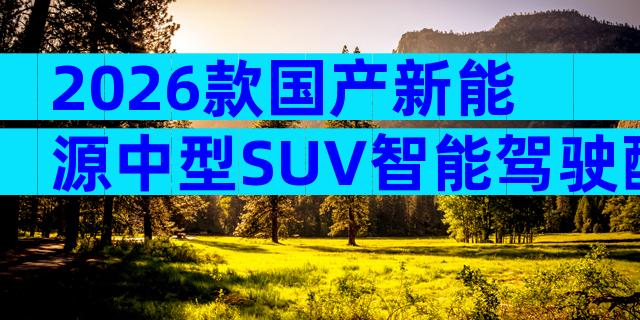 2026款国产新能源中型SUV智能驾驶配置详解与购车报价指南