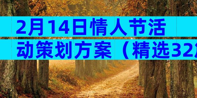 2月14日情人节活动策划方案（精选32篇）