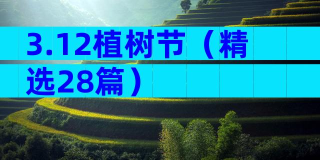 3.12植树节（精选28篇）