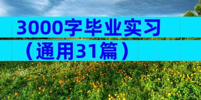 3000字毕业实习（通用31篇）