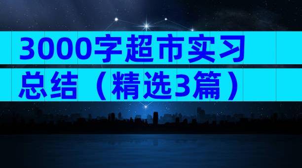 3000字超市实习总结（精选3篇）