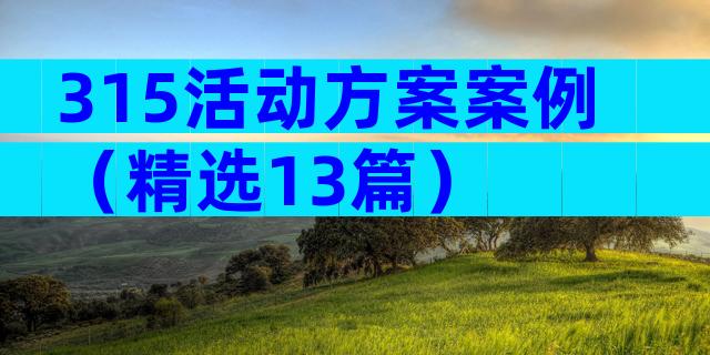 315活动方案案例（精选13篇）