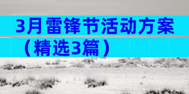 3月雷锋节活动方案（精选3篇）