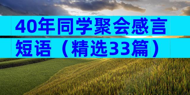 40年同学聚会感言短语（精选33篇）