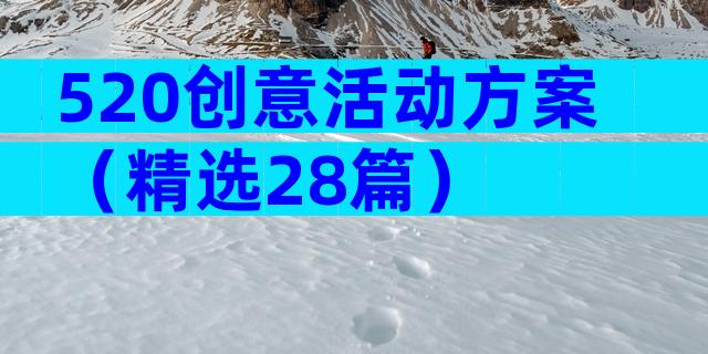 520创意活动方案（精选28篇）