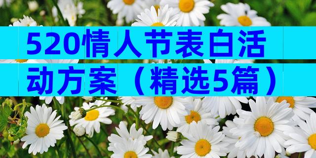 520情人节表白活动方案（精选5篇）