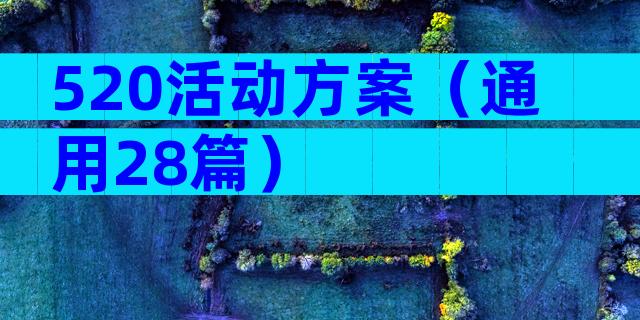 520活动方案（通用28篇）