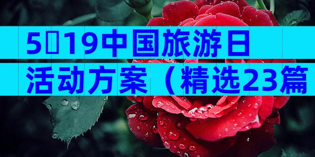 5・19中国旅游日活动方案（精选23篇）