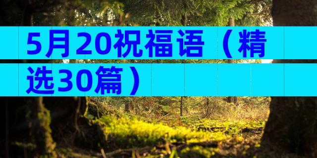 5月20祝福语（精选30篇）