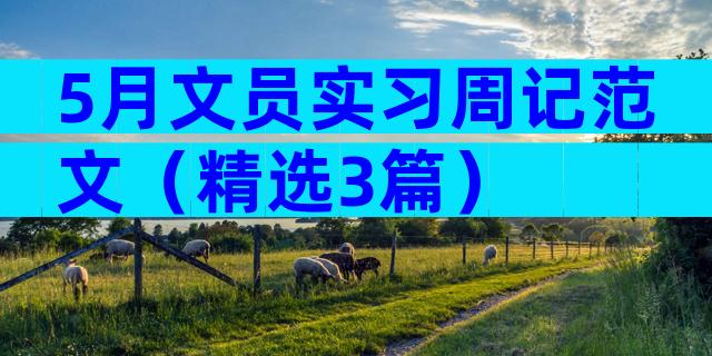 5月文员实习周记范文（精选3篇）