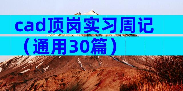 cad顶岗实习周记（通用30篇）