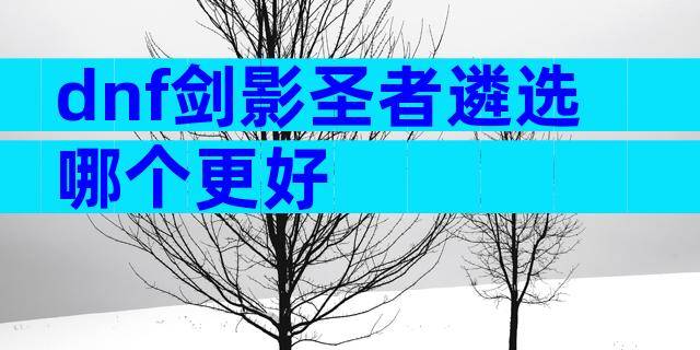 dnf剑影圣者遴选哪个更好