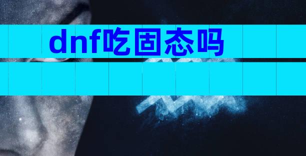dnf吃固态吗