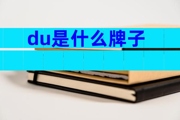 du是什么牌子