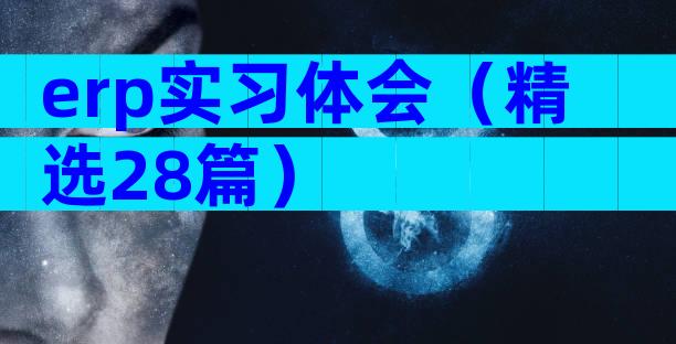 erp实习体会（精选28篇）