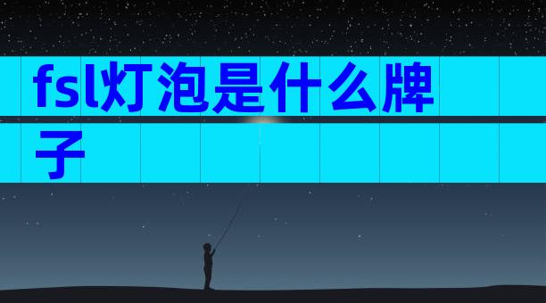 fsl灯泡是什么牌子