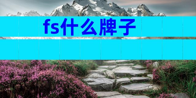 fs什么牌子