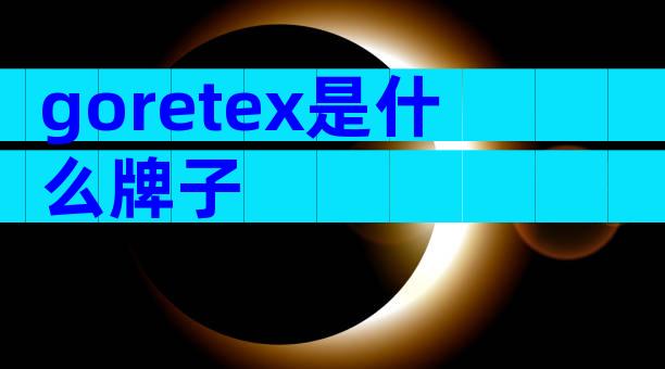 goretex是什么牌子