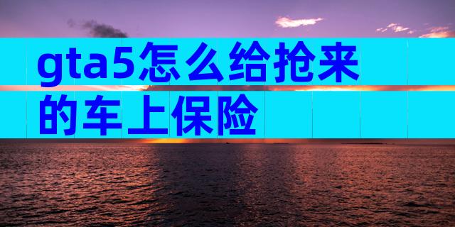 gta5怎么给抢来的车上保险