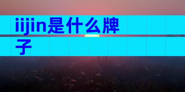 iijin是什么牌子